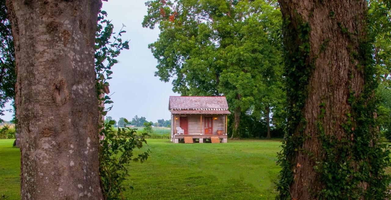 Belmont Plantation, Est 1857 Bed & Breakfast Greenville Luaran gambar
